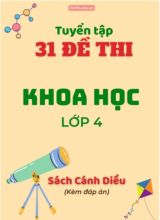 Tuyển tập 31 Đề thi môn Khoa học 4 sách Cánh Diều (Kèm đáp án)